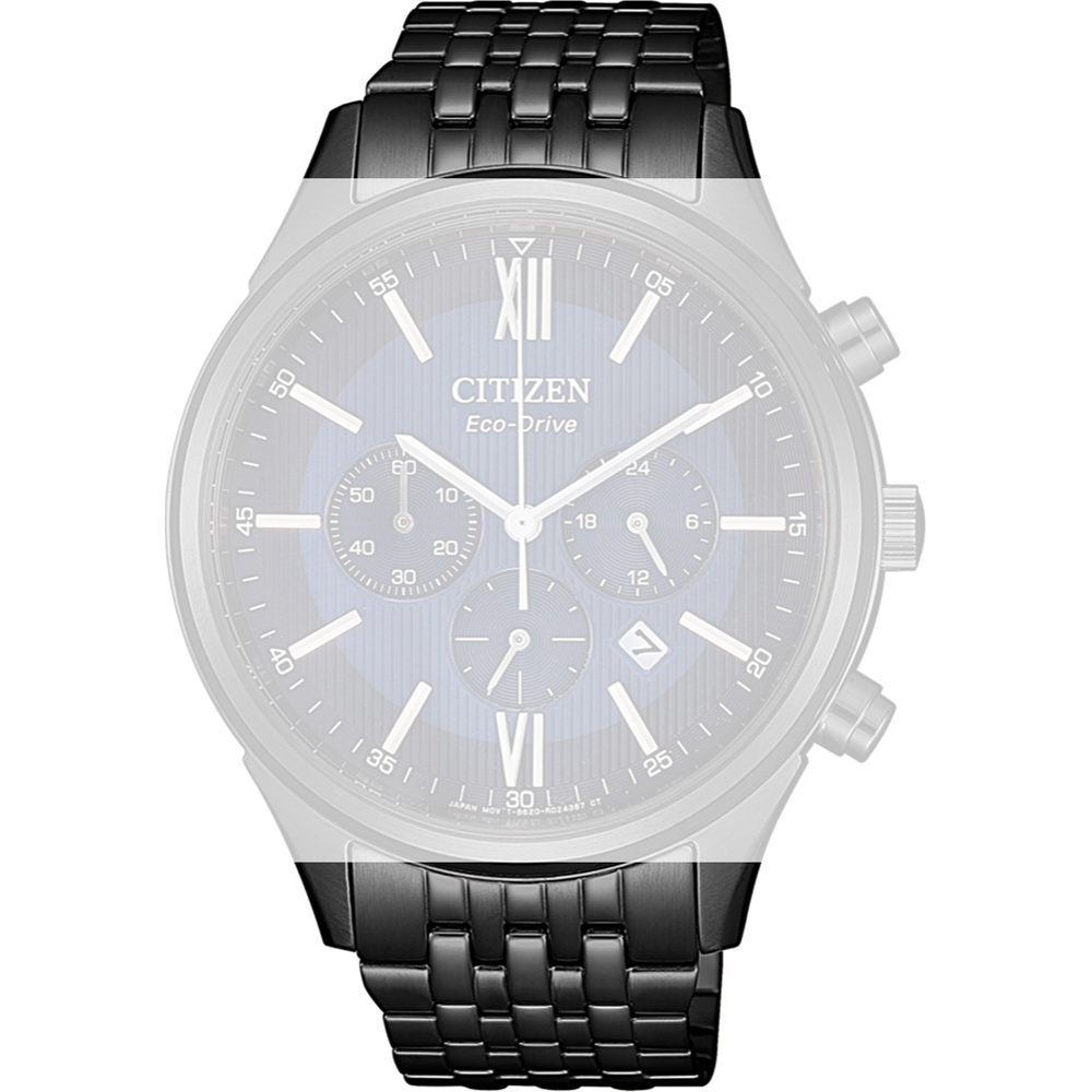 Correa Citizen Straps 59-R00561