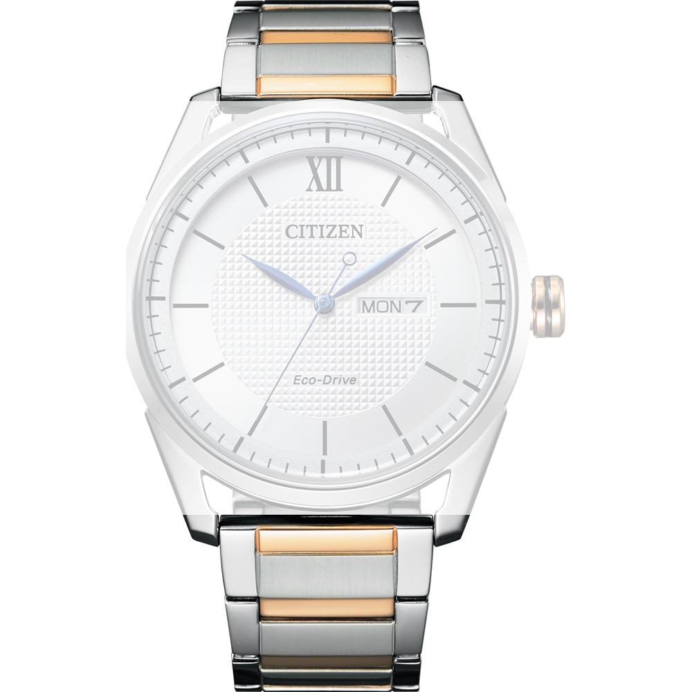 Correa Citizen 59-S07646 AW0084-81A