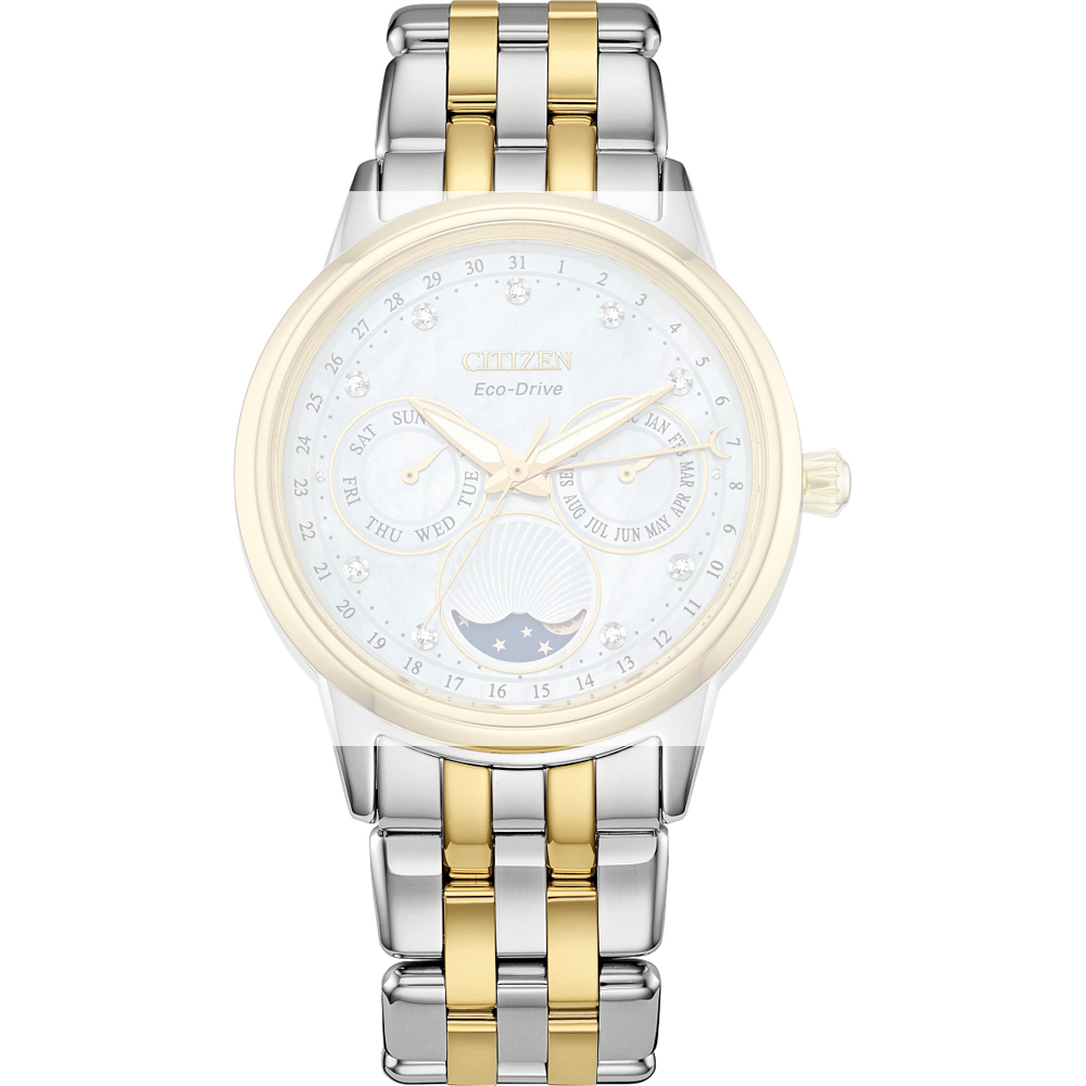 Correa Citizen 59-S07585 Calendrier