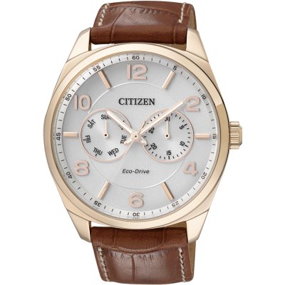 Reloj Citizen Elegance AO9024-16A