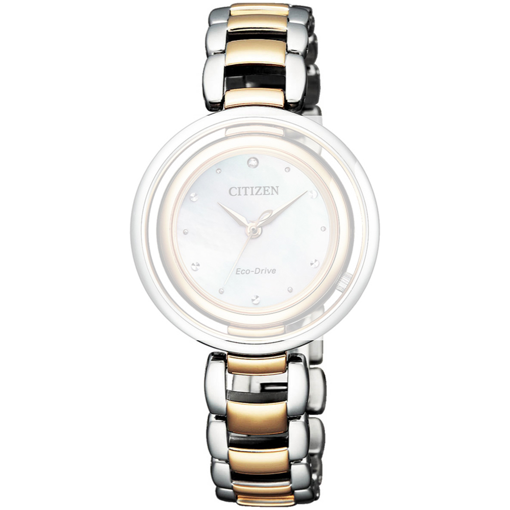 Correa Citizen Straps 59-R00552 L-Round collection