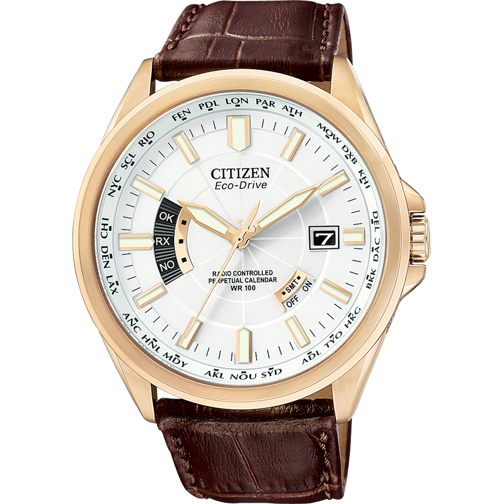 citizen eco drive radio controlled reset