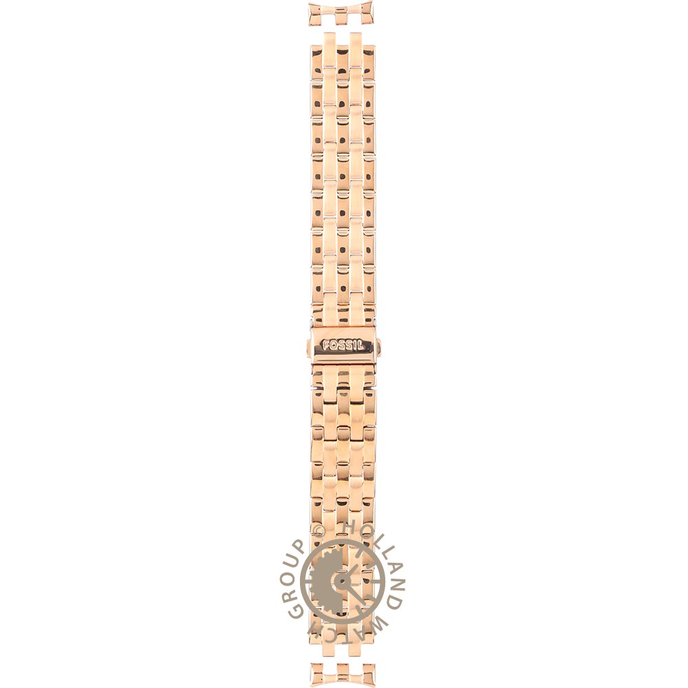 Correa Fossil Straps ABQ1581 BQ1581 Daydreamer