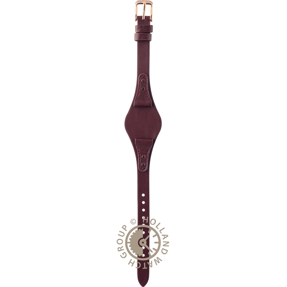 Correa Fossil Straps ABQ3157