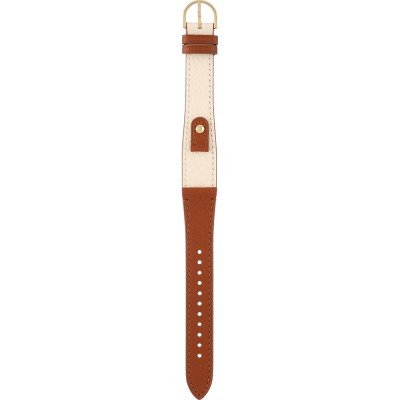 Correa Fossil AES5346 Harwell