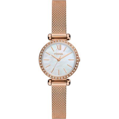 Reloj Fossil BQ3897 Tillie Mini