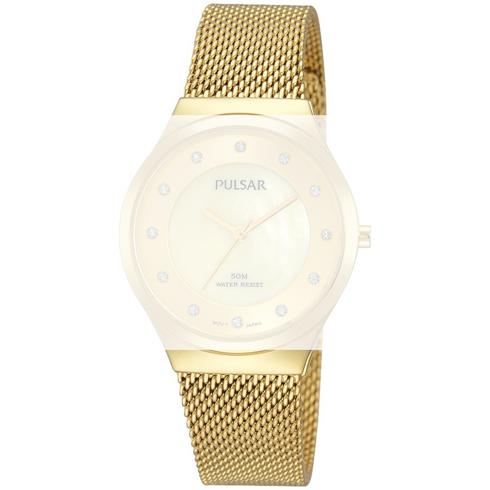 Correa Pulsar Straps PQN060X