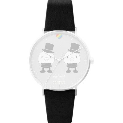 Skagen Correas Comerciante oficial Reloj.es