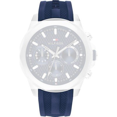 Correa Tommy Hilfiger 679302955